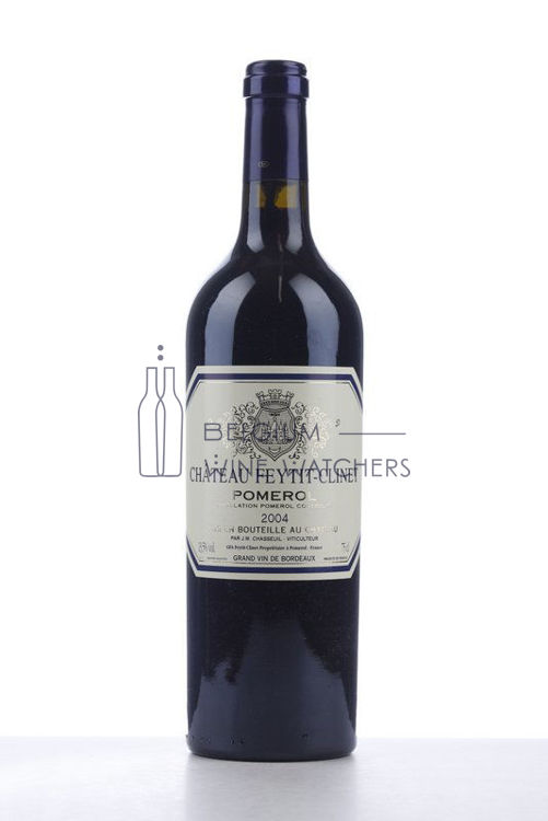 Picture of 2004 FEYTIT CLINET